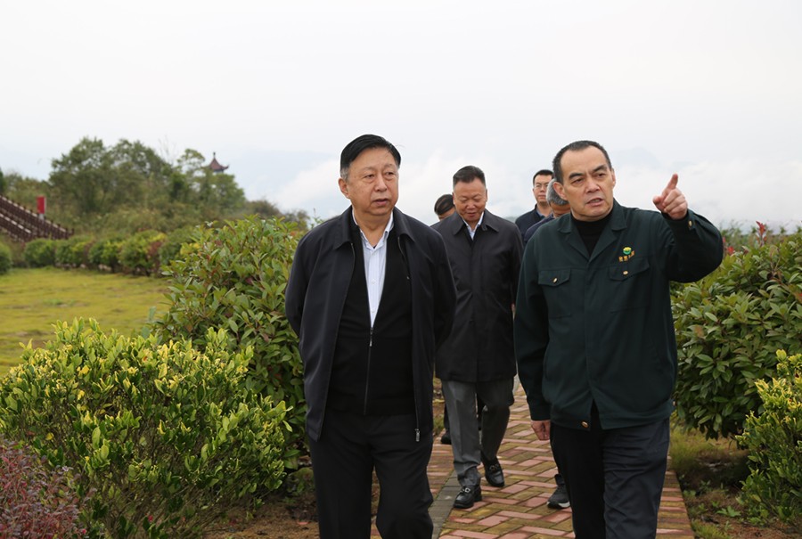 19-2021年10月，原國土資源部副部長汪民蒞臨公司調研。.jpg