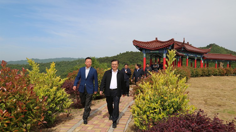 省人民檢察院黨組書(shū)記、檢察長(zhǎng)朱玉調(diào)研金徽股份